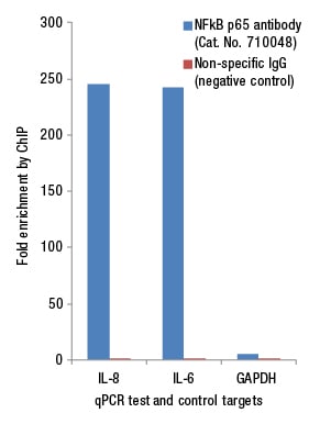 用特异性抗体对NF-κB-p65进行的ChIP-qPCR分析。 用特异性抗体对NF-κB-p65进行的ChIP-qPCR分析。