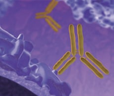干细胞研究抗体 干细胞研究抗体