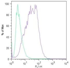 Flow cytometry analysis of c-Myc Flow cytometry analysis of c-Myc