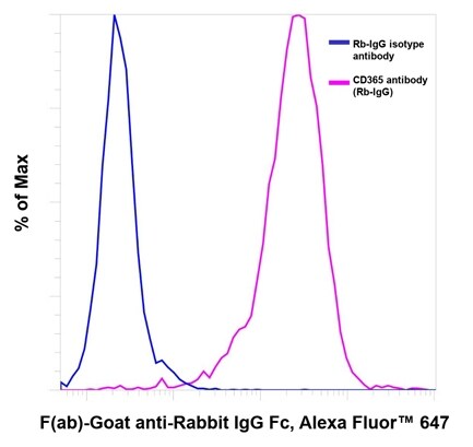 F(ab) and F(ab’)2 Fragment Secondary Antibodies | Thermo Fisher ...