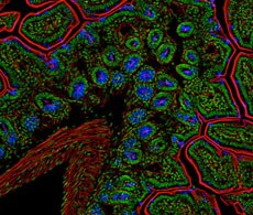 1375261892026 1375261892026