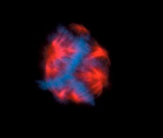 1400799336485 1400799336485