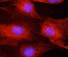 1375262289081 1375262289081