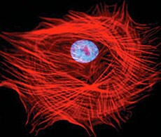 showcase.par.19711.image.0.0.1 showcase.par.19711.image.0.0.1