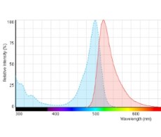 anti-guinea-sho anti-guinea-sho