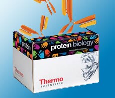 antibodies-animal-showcase antibodies-animal-showcase