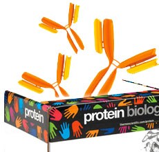 anti-horse-secondary-antibodies anti-horse-secondary-antibodies