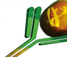 invitrogen.par.96637 invitrogen.par.96637