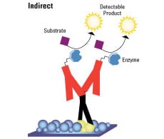 怎么根据物种进行二抗选择 怎么根据物种进行二抗选择