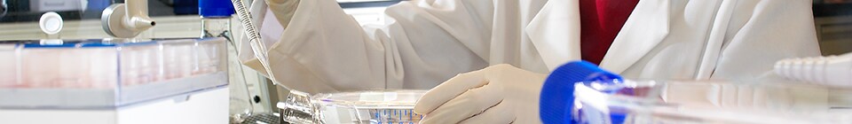 BioproductionHeader BioproductionHeader