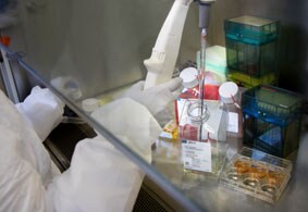 gibco-media-dev-services-showcase gibco-media-dev-services-showcase