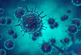 Virus-Production-Media-Reagents Virus-Production-Media-Reagents