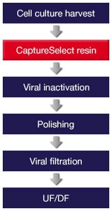 BBRP-workflow BBRP-workflow