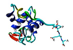 1MEL_lysozyme_EPEA_v5 1MEL_lysozyme_EPEA_v5