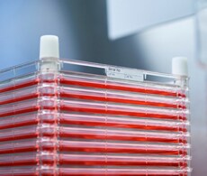 Cell Factory systems Cell Factory systems