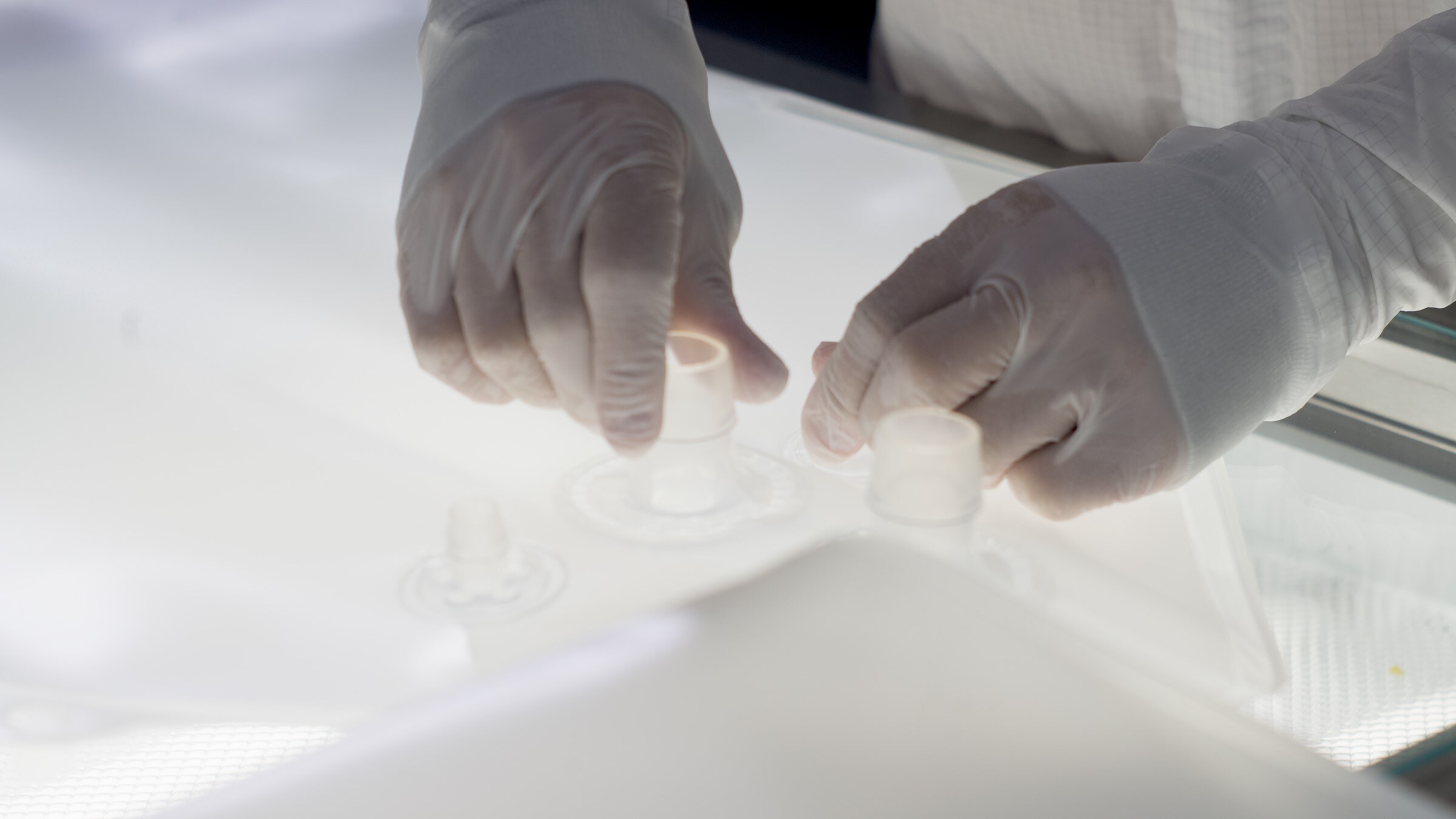 Versatile film Film for application across your workflow