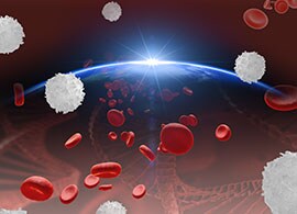 WE42884-showcase WE42884-showcase