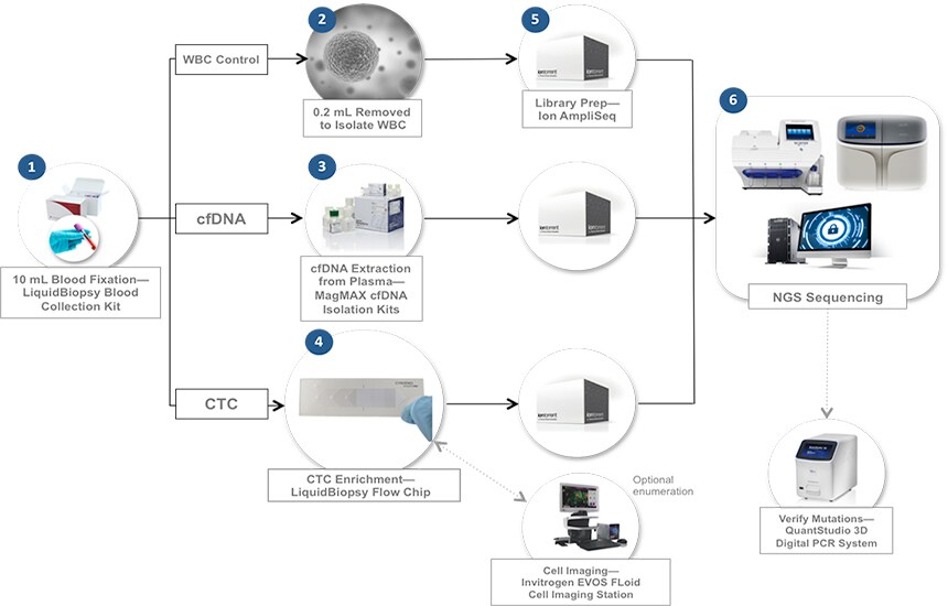 LiquidBiopsy 液体活检平台和工作流程 Thermo Fisher Scientific CN