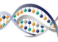 癌症 RNA 表达 癌症 RNA 表达