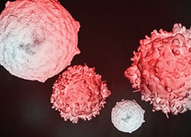 Cancer Vaccine Development Research Cancer Vaccine Development Research