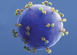 CAR T Cell Therapy Research CAR T Cell Therapy Research