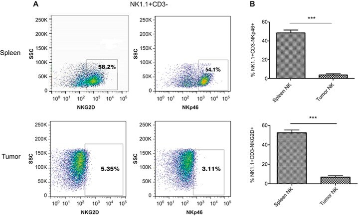 NKG2D antibody detection by flow cytometry Flow cytometry histograms and resulting quantification data for three markers from mouse spleen and tumor samples