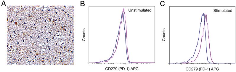 IHC and flow cytometry detection of PD-1/PD-L1 PD-1 immunohistochemical staining and flow cytometry histograms of PD-1/PD-L1 in human brain tissue