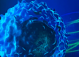 Immune checkpoint proteins and immune cell functionality Immune checkpoint proteins and immune cell functionality