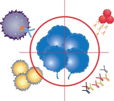 Immuno-Oncology characterization and verification Immuno-Oncology characterization and verification