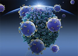 Immuno-oncology Research Immuno-oncology Research