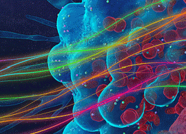 Protein and cell analysis tools for immuno-oncology research Protein and cell analysis tools for immuno-oncology research