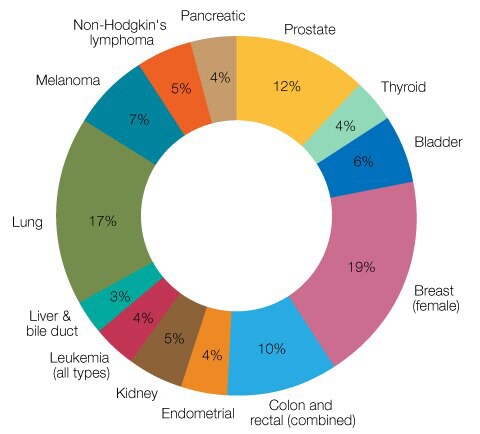 Figure 1 graph showing cancers and the estimated percentage of new cases