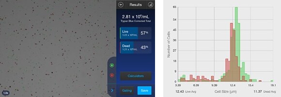 使用 Countess 3 时,小颗粒未被计入,无需阈值设定 使用 Countess 3 时,小颗粒未被计入,无需阈值设定