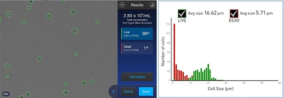 使用 Countess II 时,大量小颗粒被计数,因此需要通过阈值设定排除 使用 Countess II 时,大量小颗粒被计数,因此需要通过阈值设定排除