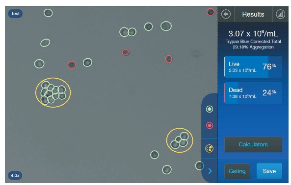 Countess 3 细胞计数器的分割和计数算法成功解析了 U2OS 人骨肉瘤细胞样本中的团块 Countess 3 细胞计数器的分割和计数算法成功解析了 U2OS 人骨肉瘤细胞样本中的团块