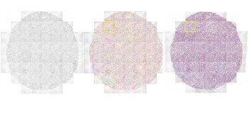 scientific-poster-immi scientific-poster-immi