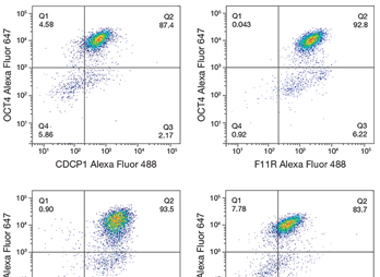 BioProbes article BioProbes article