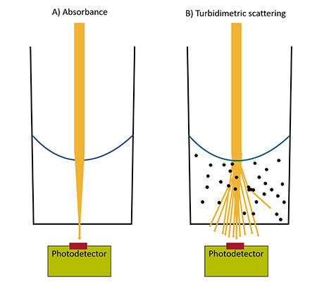 Absorbance and Turbidimetric Scattering Measurements in Photometry ...