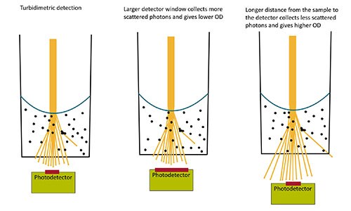 Instrument optical design affects OD measurements Three-panel diagram showing how photodetector position and collection window affects the amount of light that reaches the detector