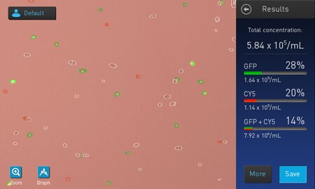 Countess screenshot Results screenshot showing apoptotic and dead cells counted on a Countess II FL Automated Cell Counter