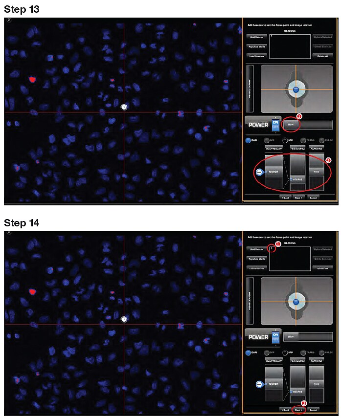 Setting up the EVOS FL Auto Imaging System and Onstage Incubator steps 13 and 14 Setting up the EVOS FL Auto Imaging System and Onstage Incubator steps 13 and 14