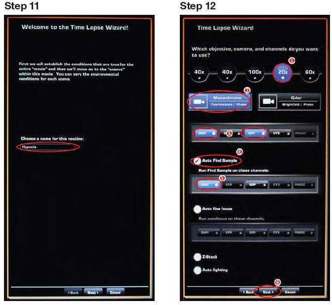 Setting up the EVOS -step 11 and 12- FL Auto Imaging System and Onstage Incubator Setting up the EVOS -step 11 and 12- FL Auto Imaging System and Onstage Incubator