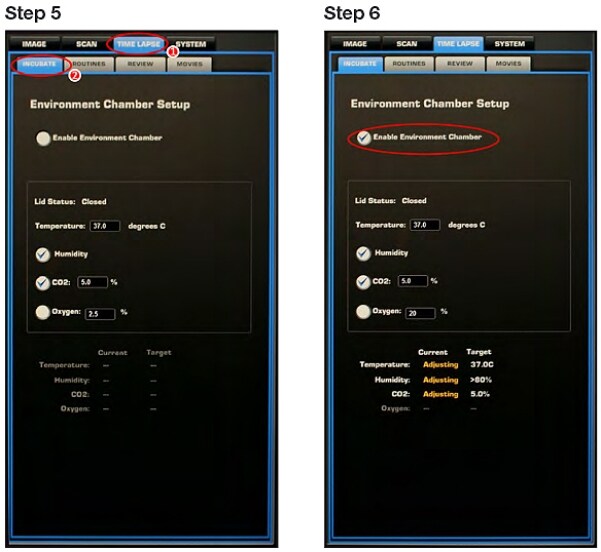 Steps 5 and 6 - Setting up the EVOS FL Auto Imaging System and Onstage Incubator Steps 5 and 6 - Setting up the EVOS FL Auto Imaging System and Onstage Incubator