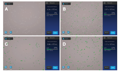 Analysis of adipogenesis in fixed cells Analysis of adipogenesis in fixed cells