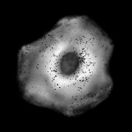 Cell Stain Tool Cell Stain Tool