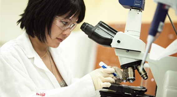 Guided learning Guided learning