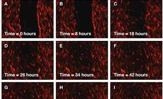 Application note Application note