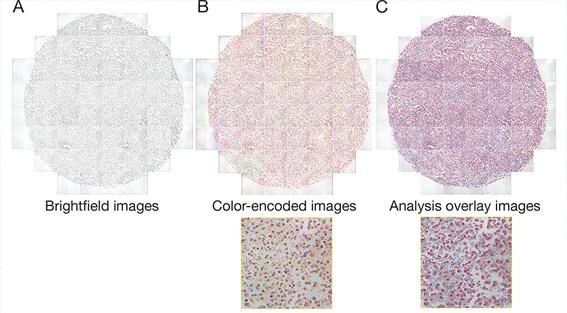 Scientific poster Scientific poster