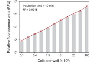BioProbes article BioProbes article