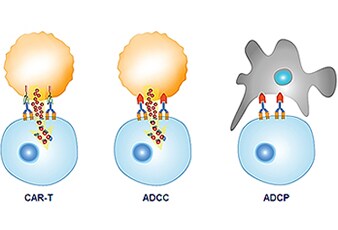 Scientific poster Scientific poster